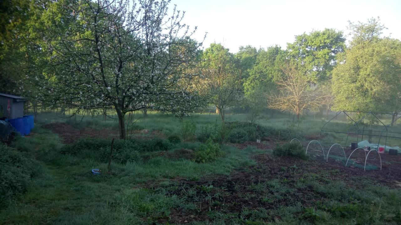 La Roulotte Chainoux Bains-sur-Oust Eksteriør bilde