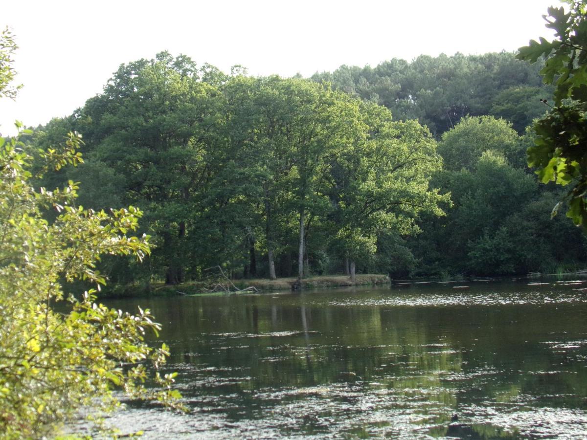 La Roulotte Chainoux Bains-sur-Oust Eksteriør bilde